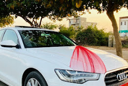 Ranthambore wildlife travels