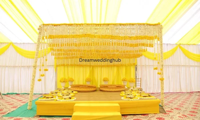 The Planning Paradise