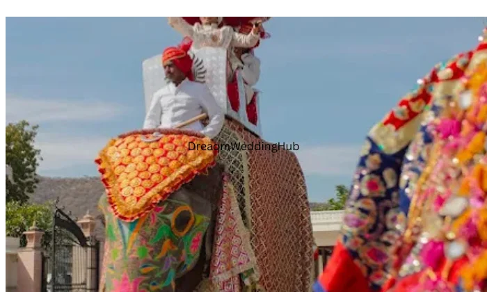 AE Baraat Procession Service's Jaipur