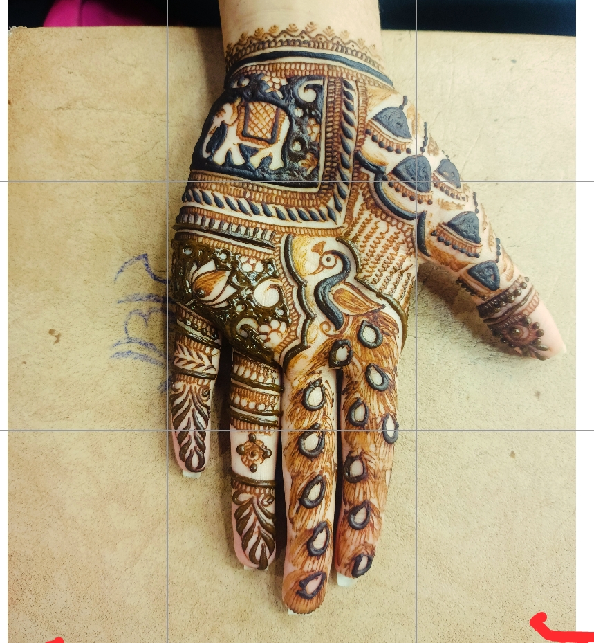 Anil Mehndi Art