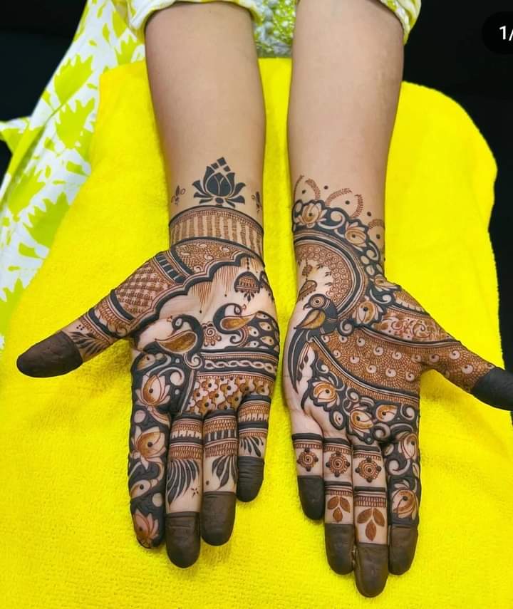 Anil Mehndi Art